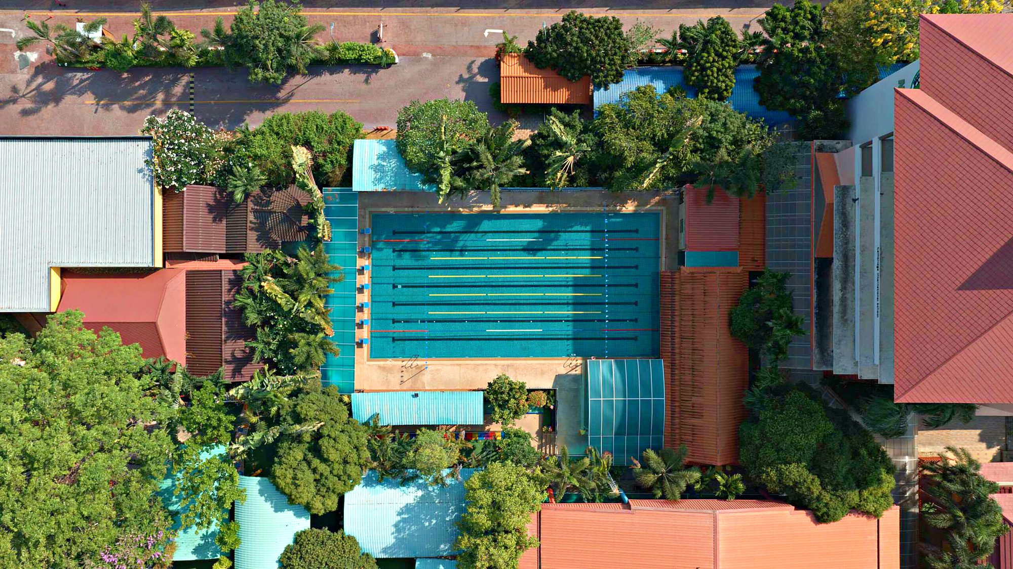 Swimming pool from above